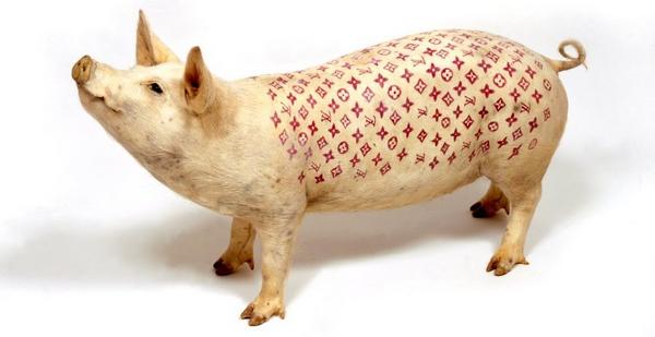 Tatuagens em porcos Tatuagens em porcos