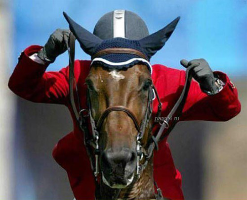 35 fotos engraçadas de ângulos diferentes