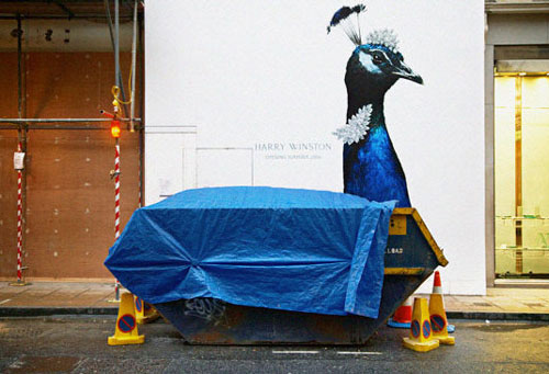 35 fotos engraçadas de ângulos diferentes