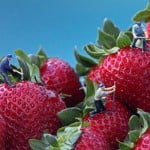 Bonecos em miniatura com alimentos