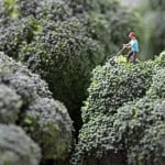 Bonecos em miniatura com alimentos
