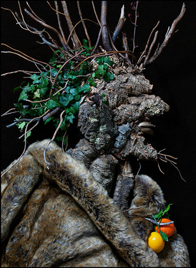 Retratos criativos com frutas, vegetais e flores Retratos criativos com frutas, vegetais e flores