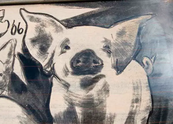 Para brisa traseiro + Poeira = Arte