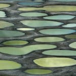 Conheça o Spotted Lake