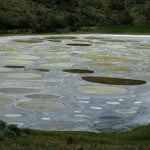 Conheça o Spotted Lake