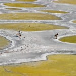 Conheça o Spotted Lake
