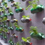 Como fazer uma pequena horta vertical em casa ou no apartamento