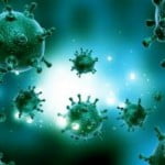 O profissional da Biomedicina