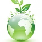 O profissional de Gestão Ambiental