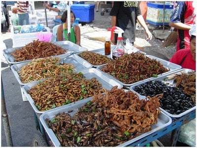 A gastronomia em algumas culturas é bem peculiar.