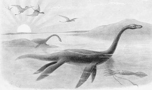 Legenda: O plessiosauro, espécie a que pertenceria o monstro do lago Ness.
