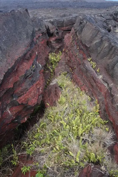 Canais abertos pela lava do vulcão Kilauea.