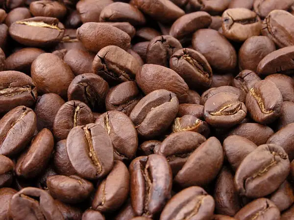 Grãos de “Coffea arabica”, uma das variedades mais cultivadas do café.