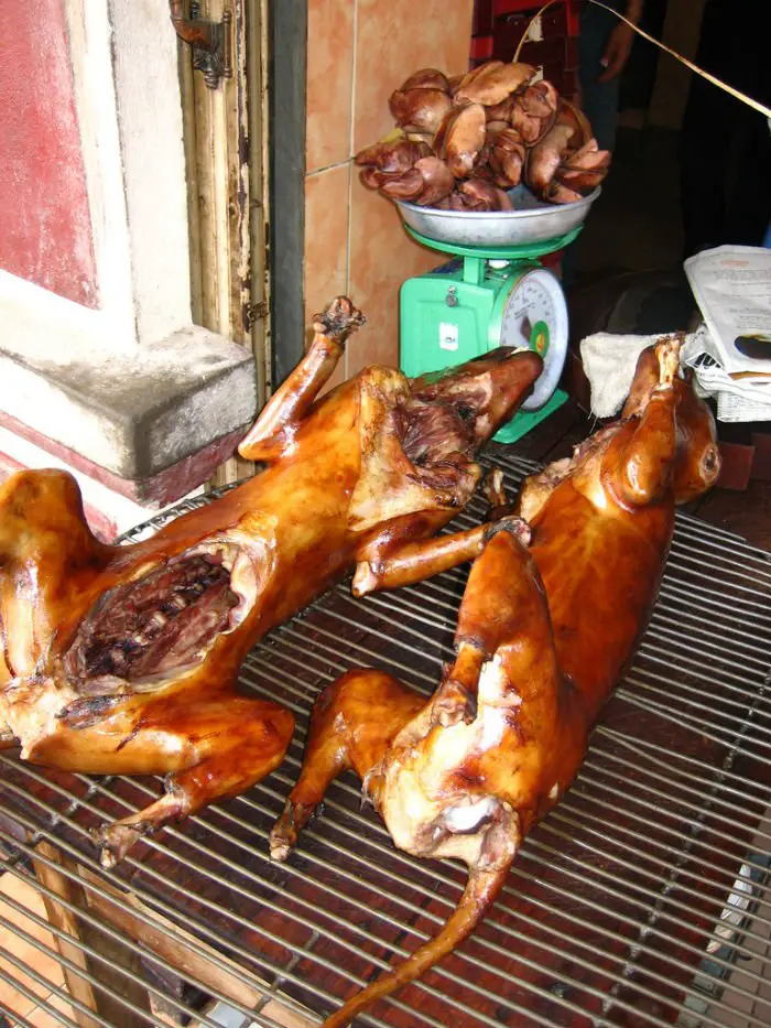 A carne de cachorro é muito apreciada no oriente da Ásia.