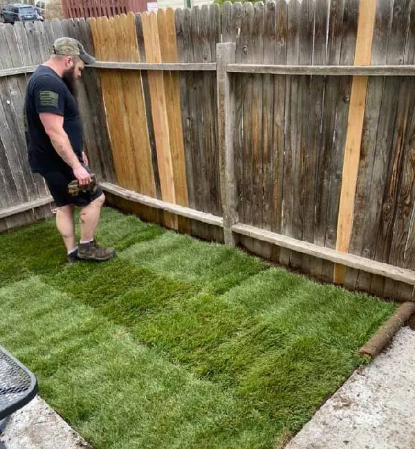 Homem constrói um lindo jardim para cachorro resgatado